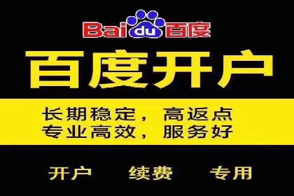 案例研究：SEM优化助力品牌知名度